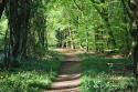 Self-catering holiday cottage - Half Moon Cottage, West Runton, Cromer, Norfolk, England